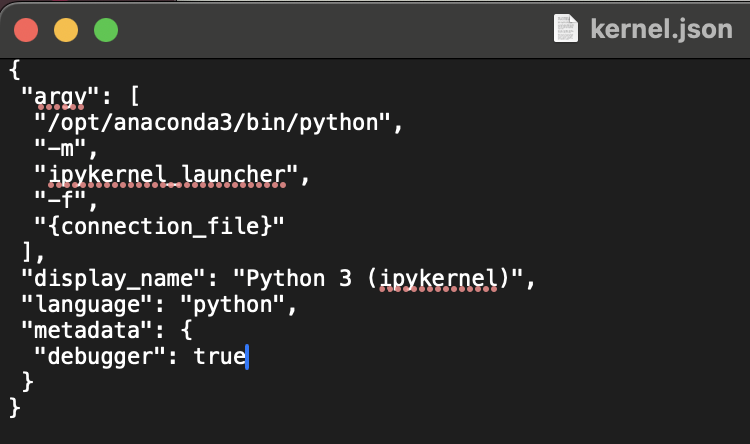 New content of kernel.json