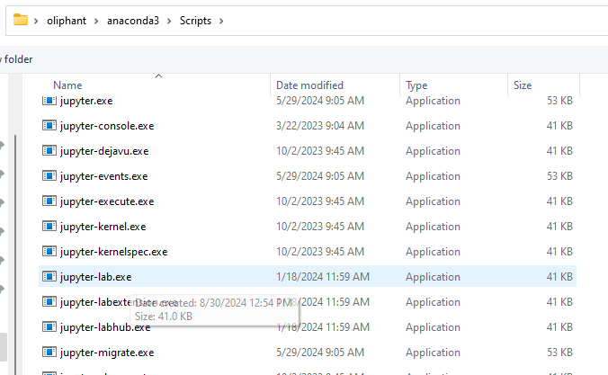 jupyter-lab.exe file